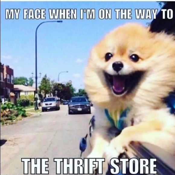 Meet your Posher, Kerri - Picture 3 of 8